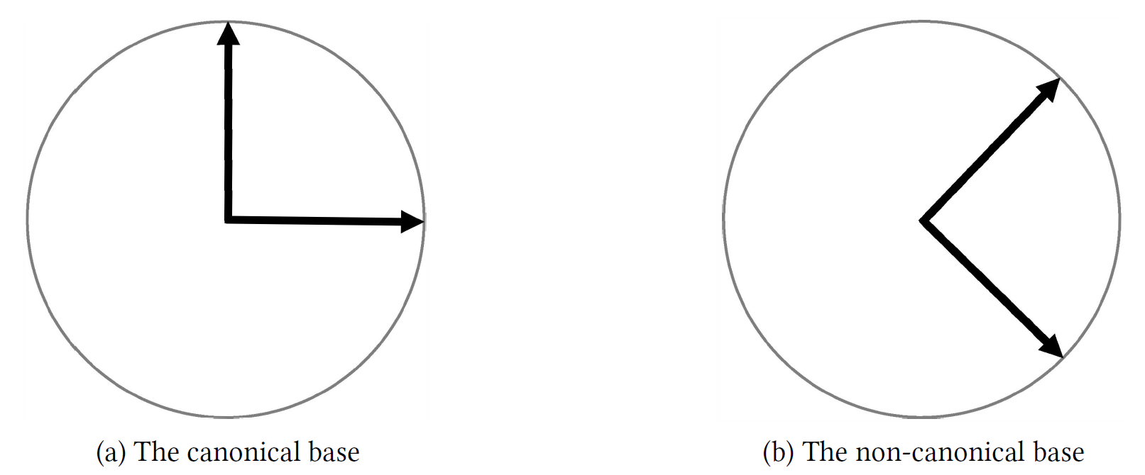 canonical-non-canonical-bases